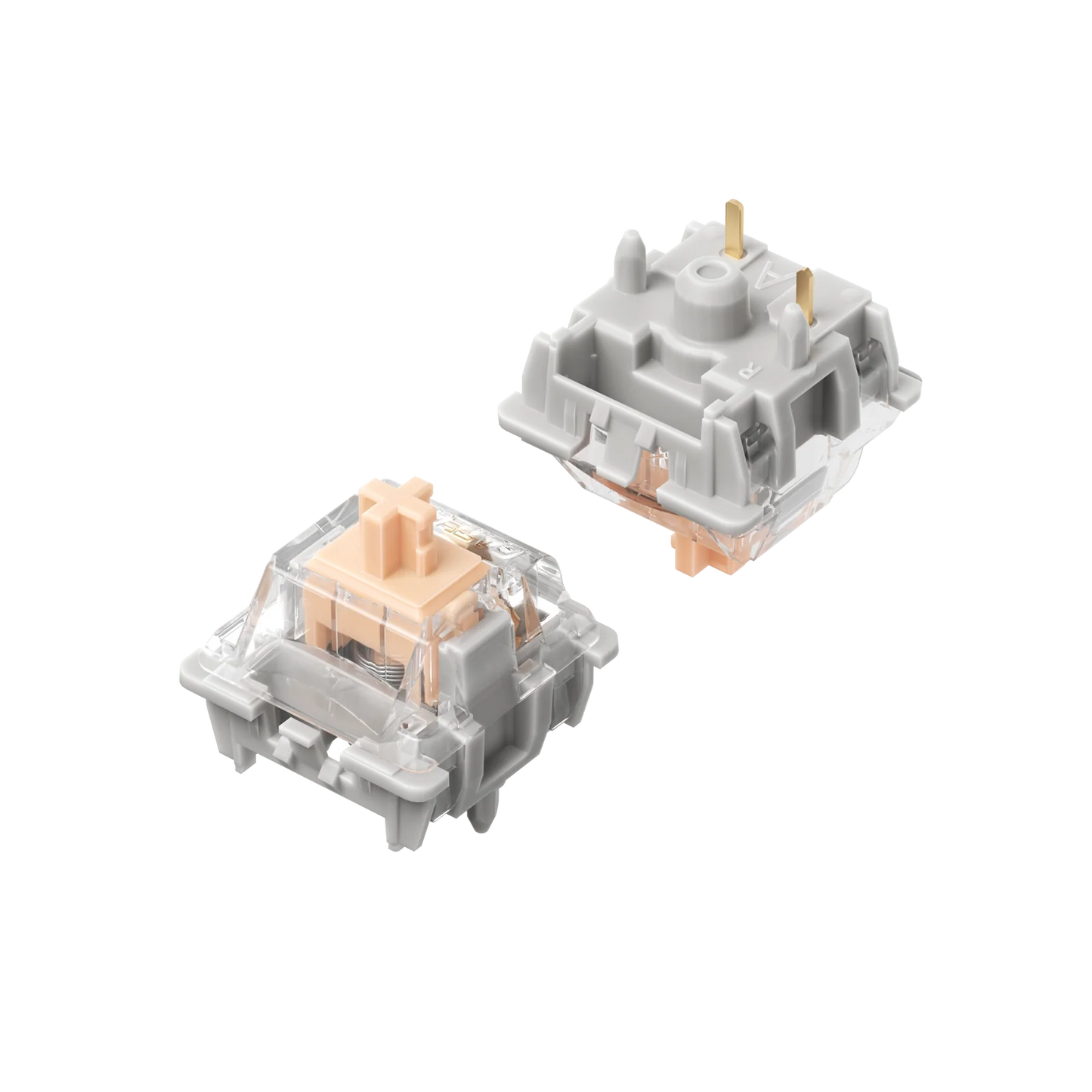 NuPhy Max Switches