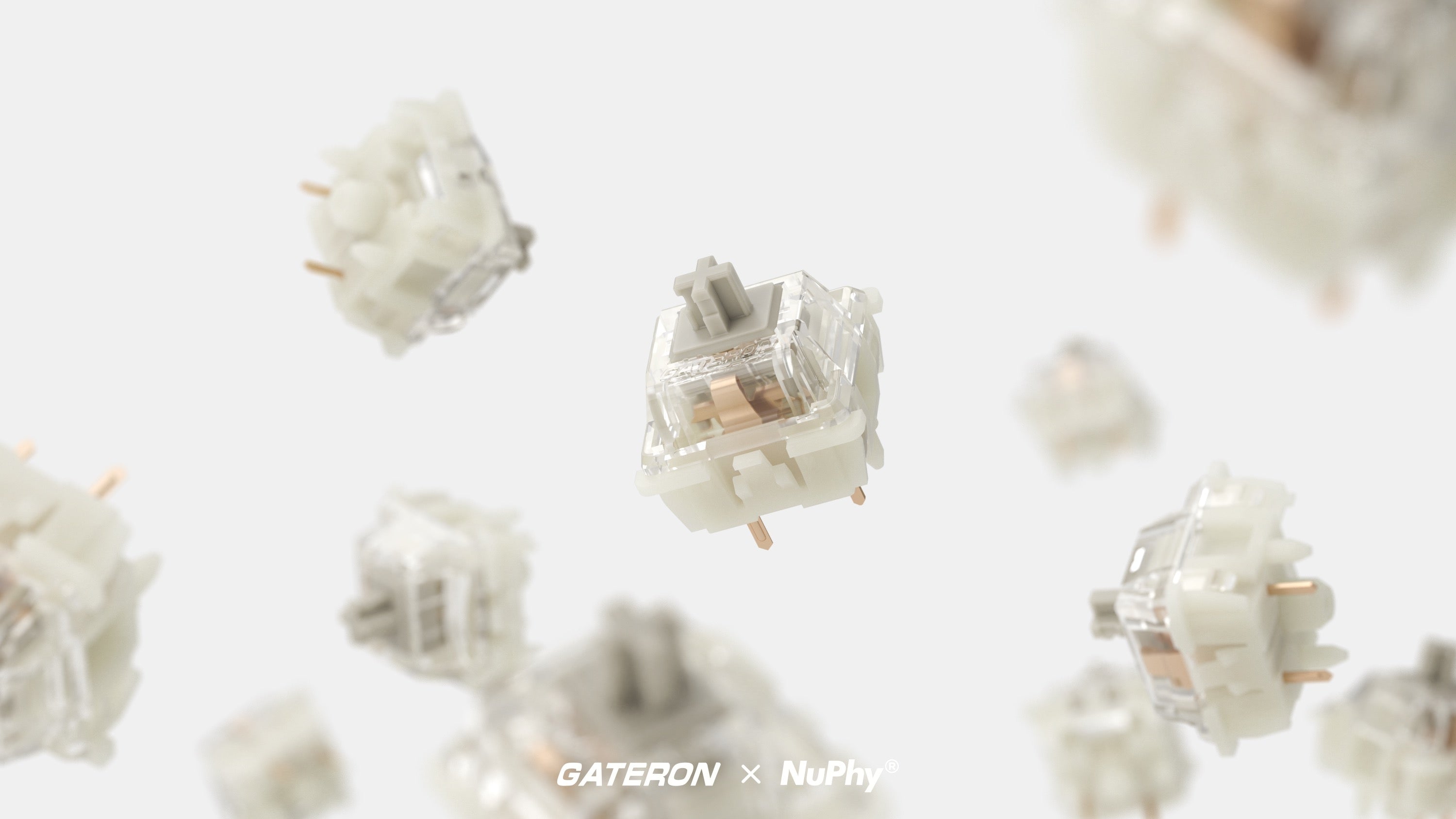 NuPhy Gateron Baby Raccoon Switches - 110pcs/Set – Nuphy Australia