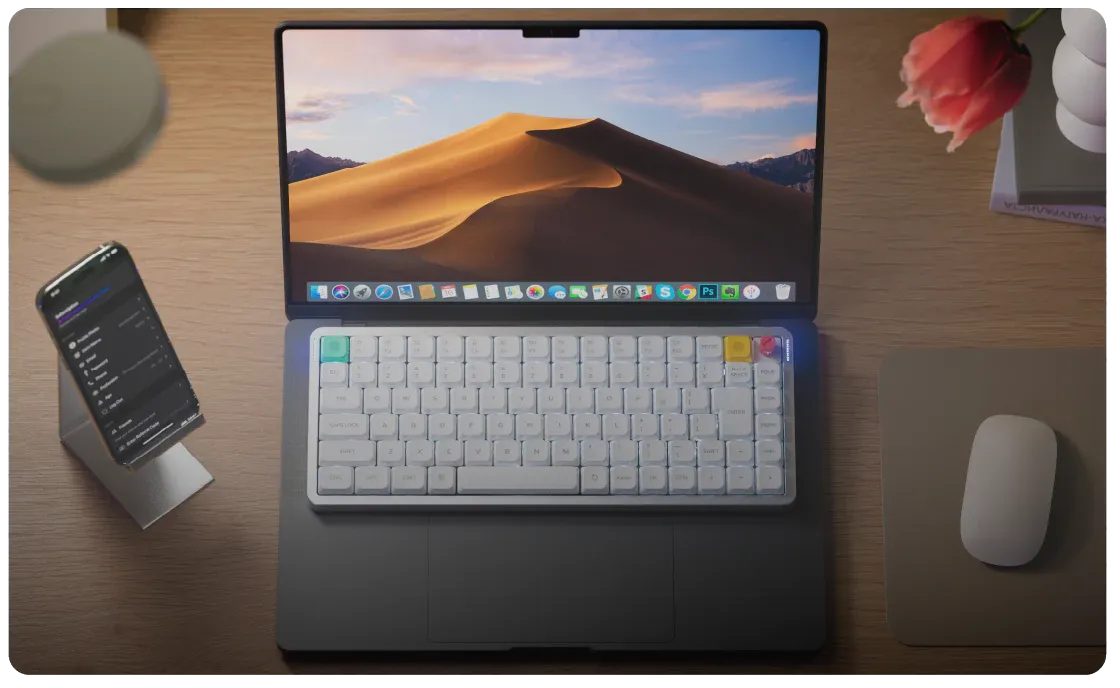 imgi_161_1-08_3024x.webp__PID:ed600343-e032-4ea7-878b-bb009885e93d